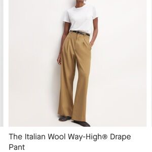 Everlane Tan Wide Leg Pants with Tailored Finish